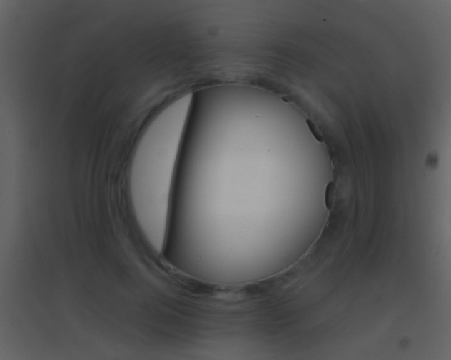 X0000095530744200712140934