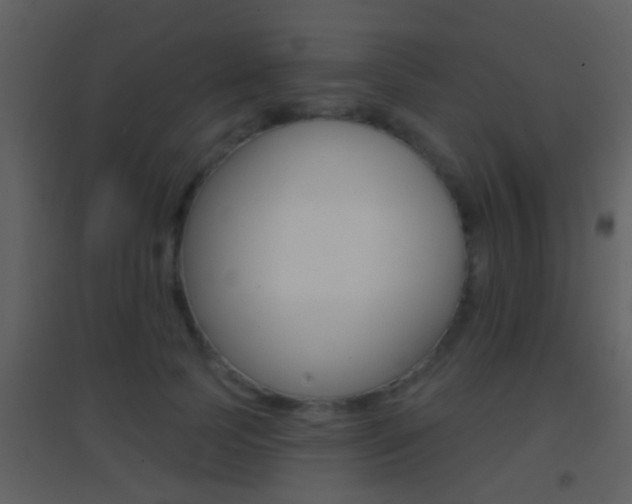 X0000095530745200712140934