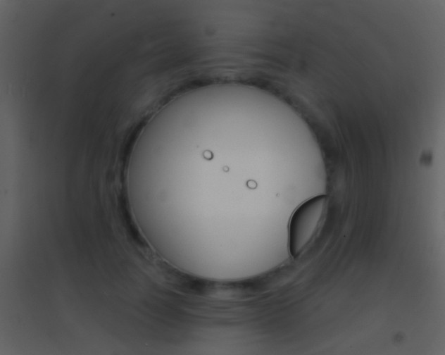 X0000095530746200712140934