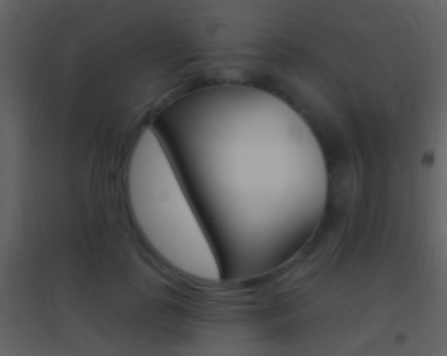 X0000095530747200712140934