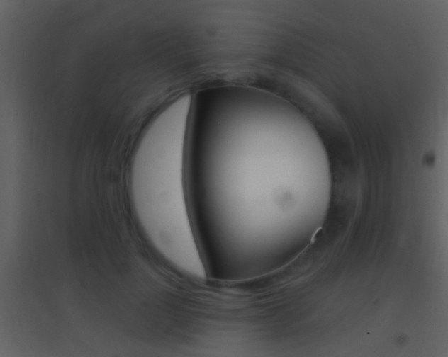 X0000095530748200712140934