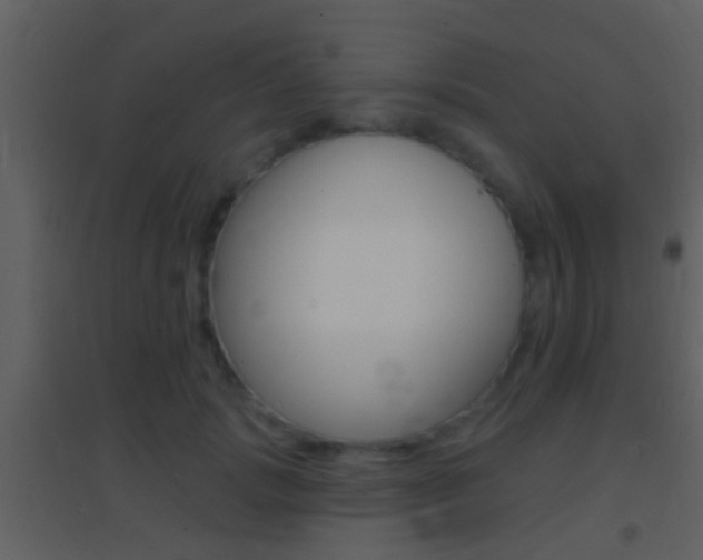 X0000095530749200712140934
