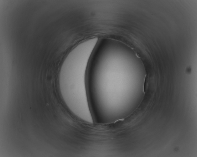 X0000095530750200712140934