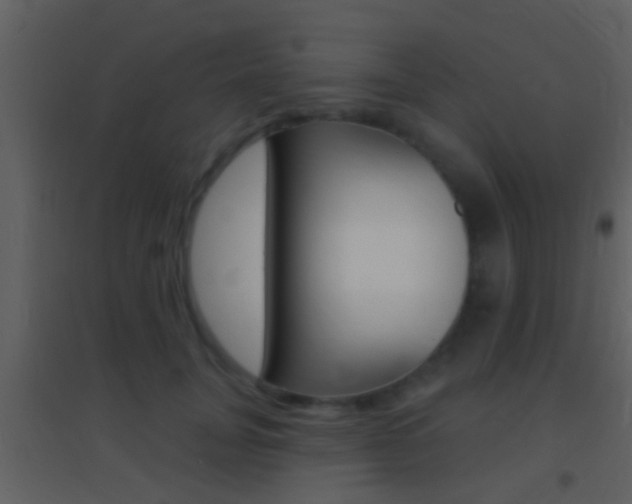 X0000095530751200712140934