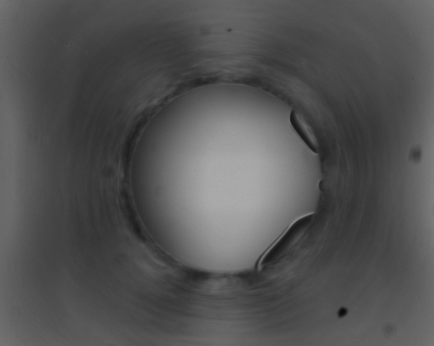 X0000095530752200712140934