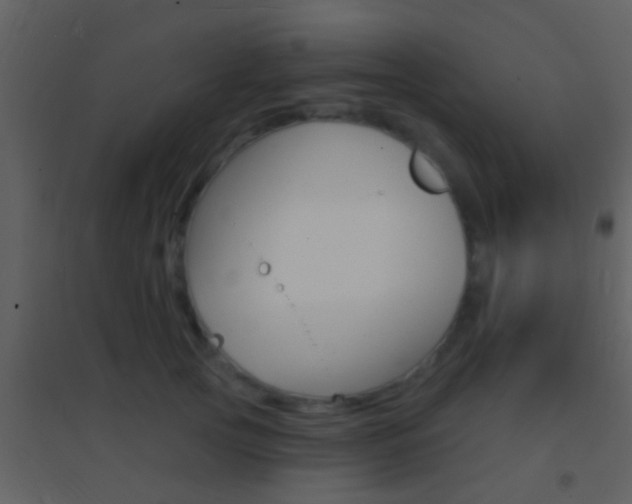 X0000095530753200712140934