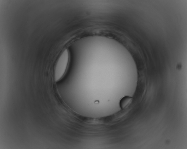 X0000095530754200712140934