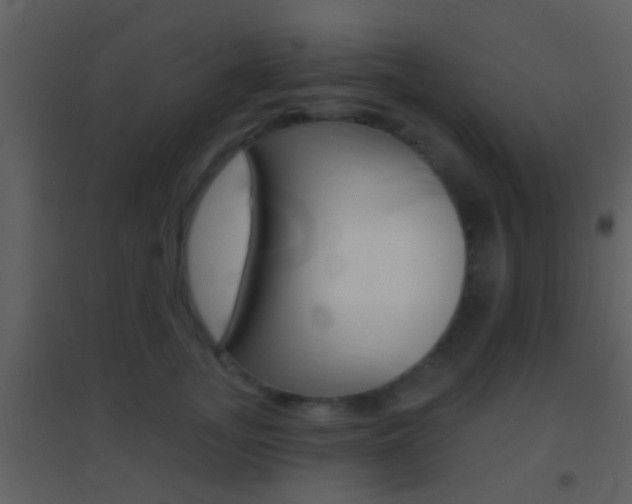 X0000095530755200712140934