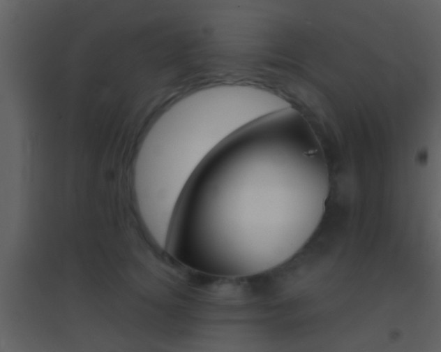 X0000095530756200712140934