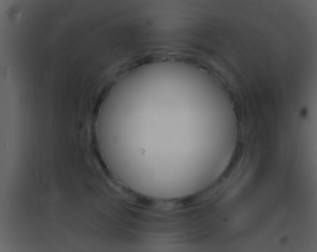 X0000095530757200712140934
