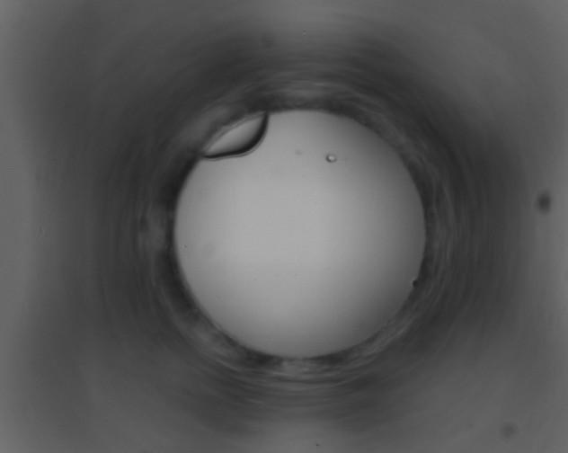 X0000095530758200712140934