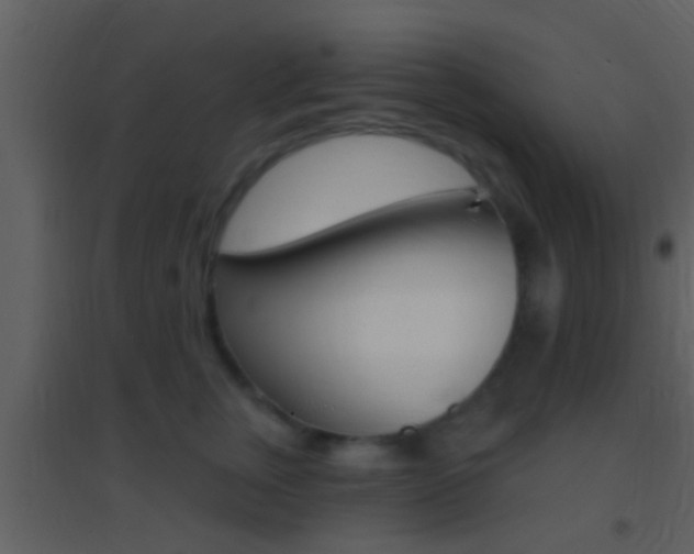 X0000095530759200712140934