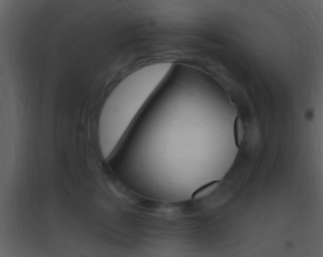 X0000095530760200712140934