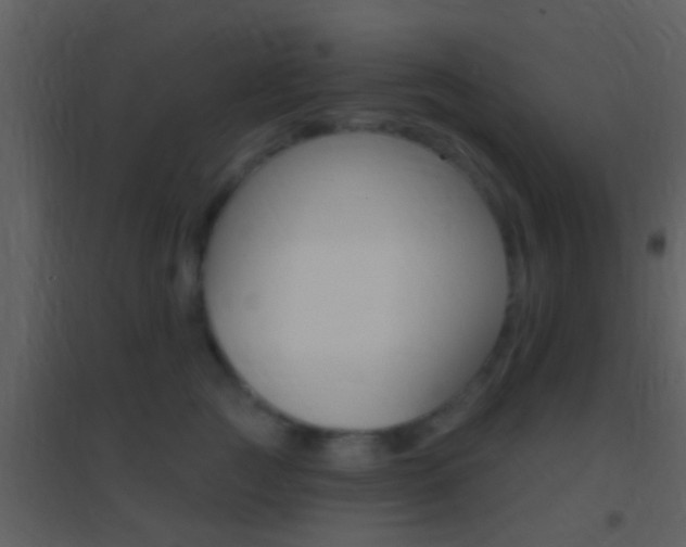 X0000095530761200712140934