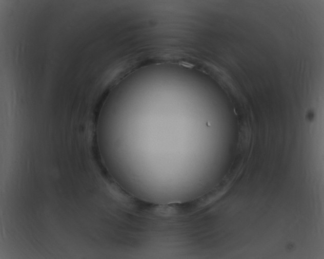 X0000095530762200712140934