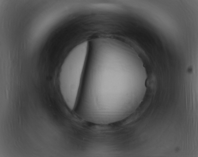 X0000095530763200712140934
