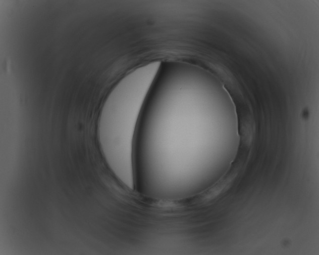 X0000095530766200712140934