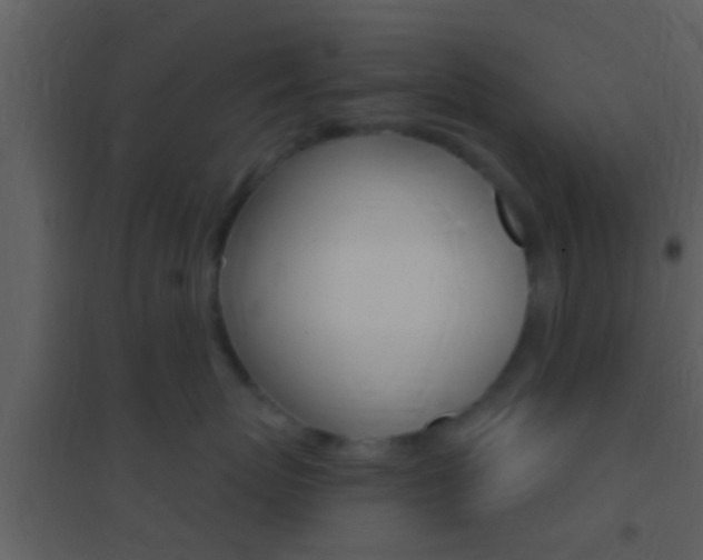 X0000095530767200712140934