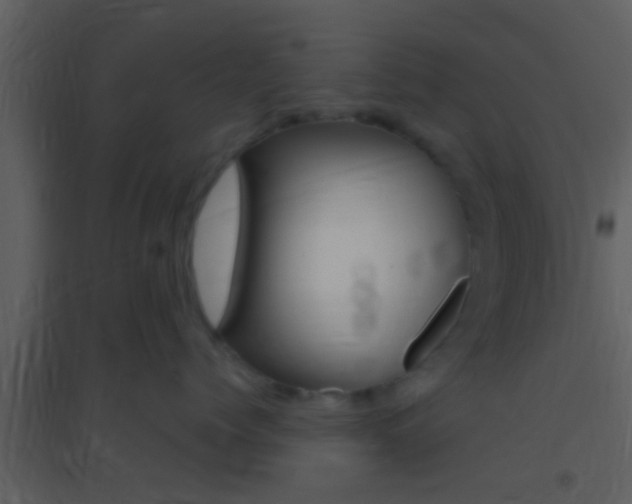 X0000095530768200712140934