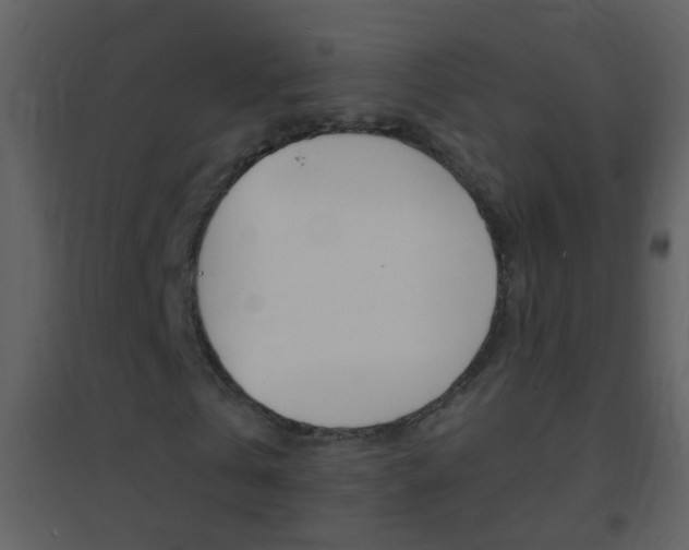 X0000095530769200712140933