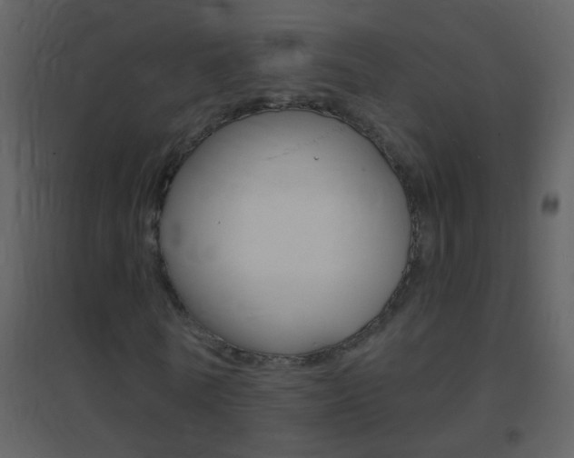 X0000095530770200712140933
