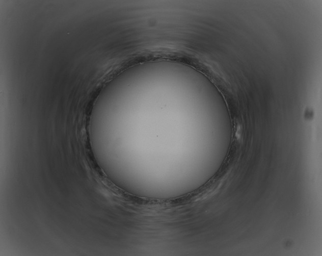X0000095530771200712140933