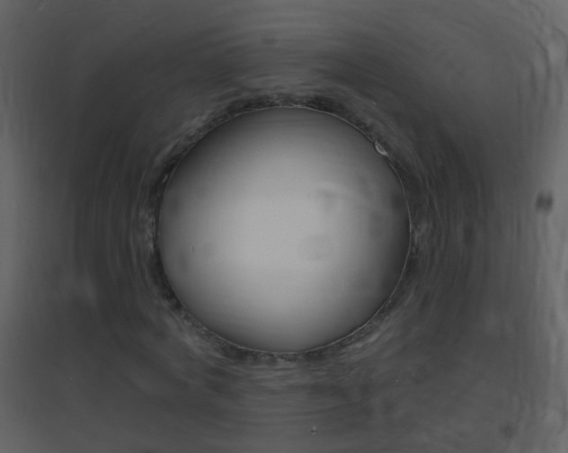 X0000095530772200712140933