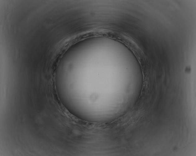X0000095530773200712140933