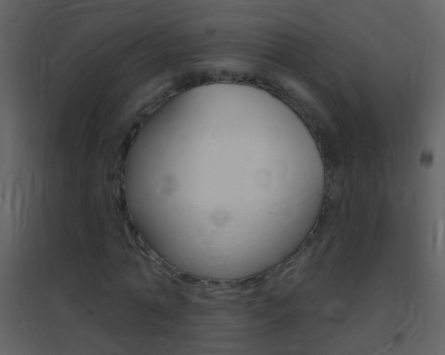 X0000095530774200712140933