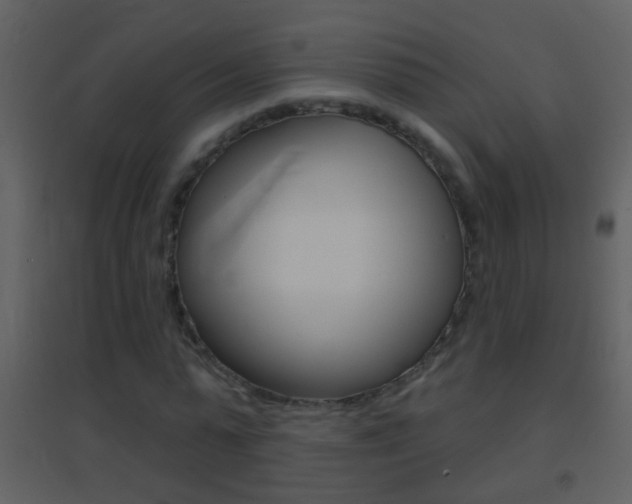 X0000095530775200712140933