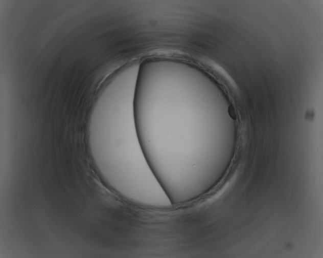 X0000095530777200712140933