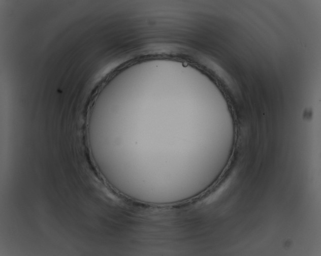 X0000095530778200712140933