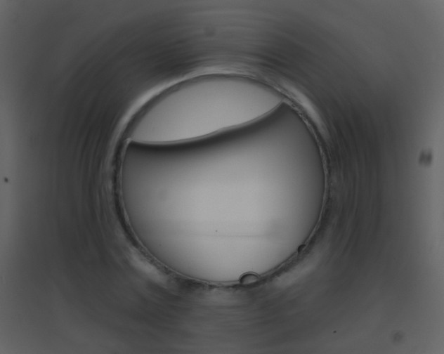 X0000095530779200712140933