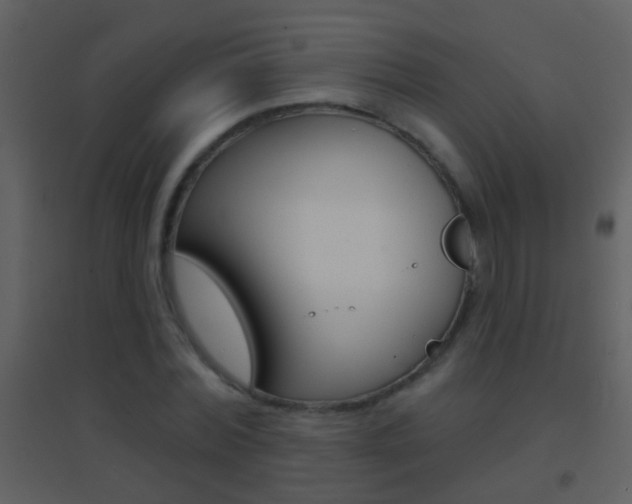 X0000095530780200712140933