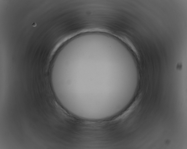 X0000095530781200712140933
