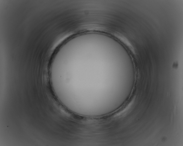 X0000095530782200712140933