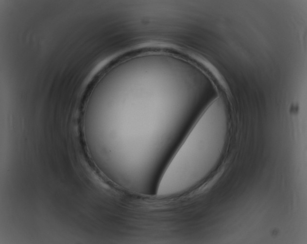 X0000095530783200712140933