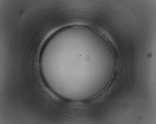 X0000095530784200712140933