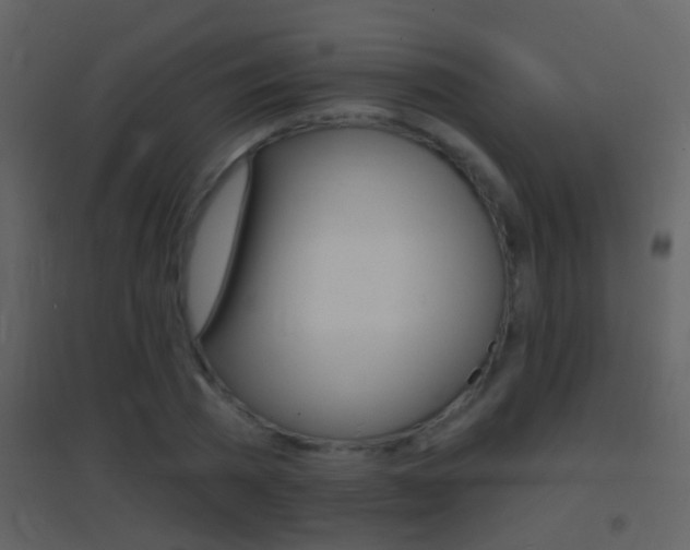 X0000095530785200712140933