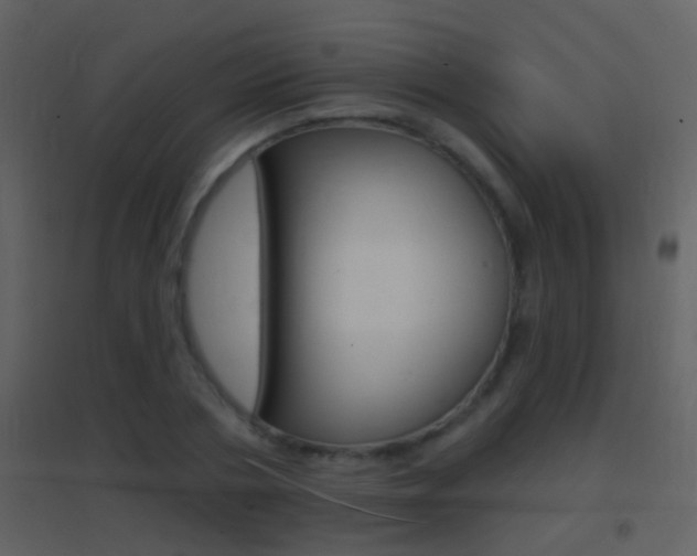 X0000095530786200712140933