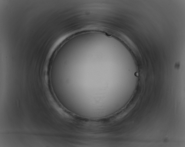X0000095530788200712140933