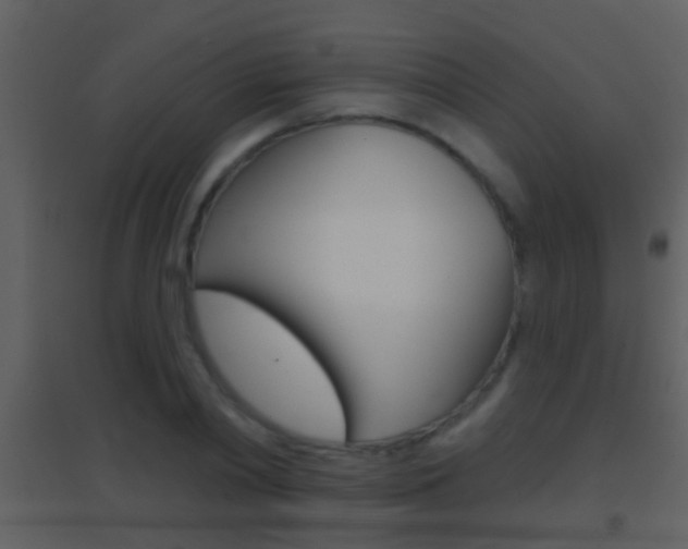X0000095530790200712140933