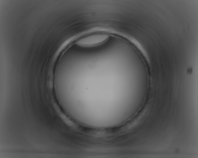 X0000095530791200712140933