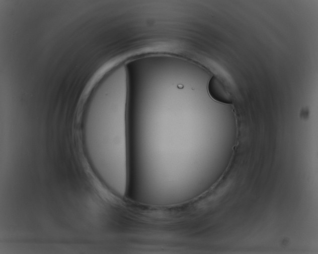X0000095530792200712140933
