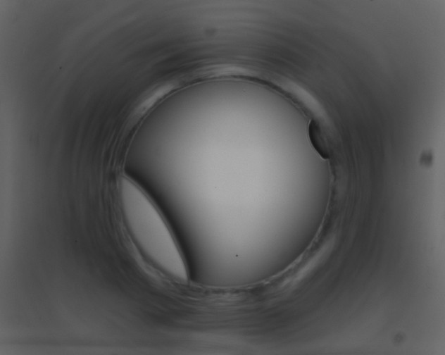 X0000095530793200712140933