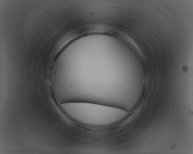 X0000095530794200712140933