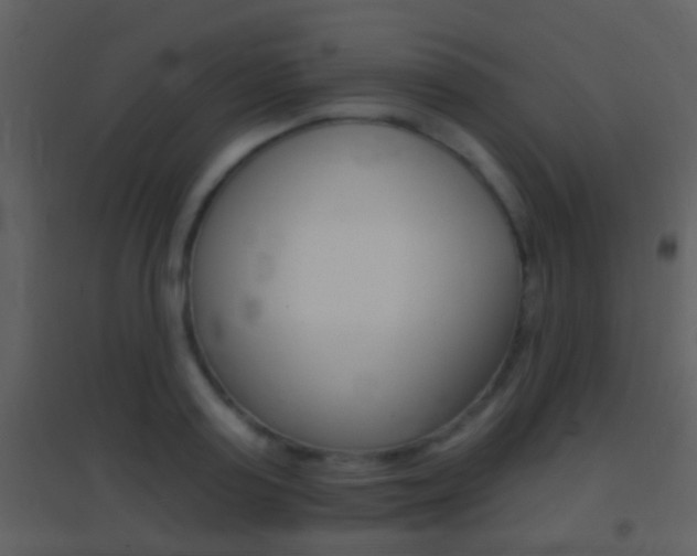 X0000095530795200712140933