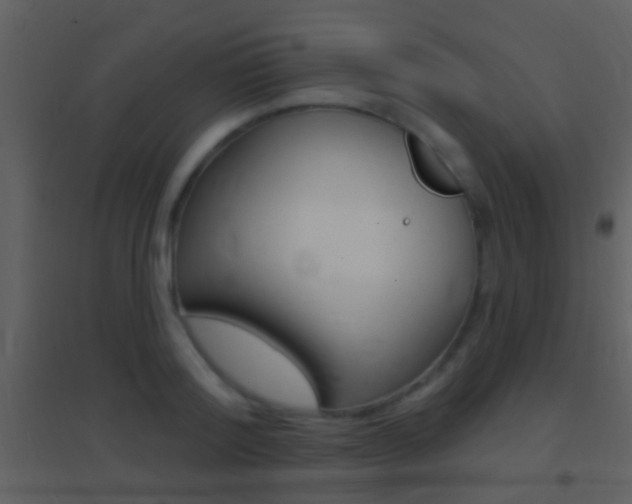 X0000095530796200712140933