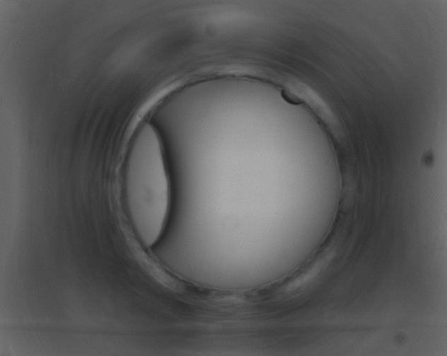 X0000095530798200712140933