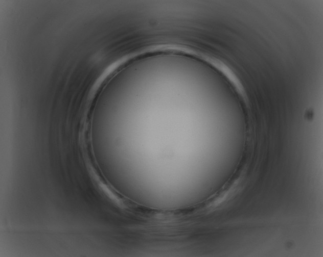 X0000095530799200712140933